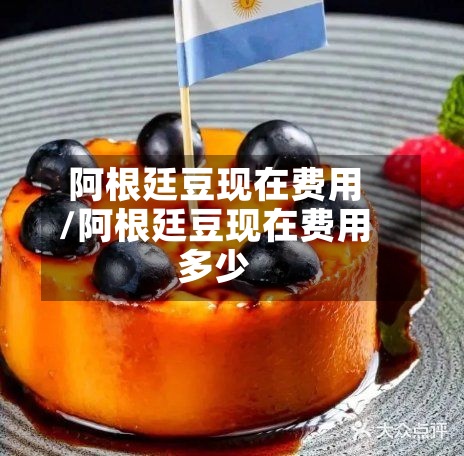 阿根廷豆现在费用/阿根廷豆现在费用多少