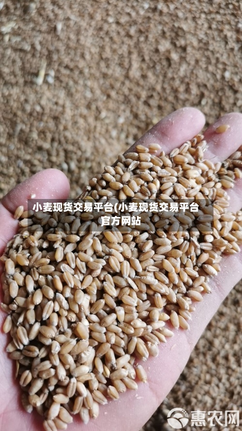 小麦现货交易平台(小麦现货交易平台官方网站)-第3张图片