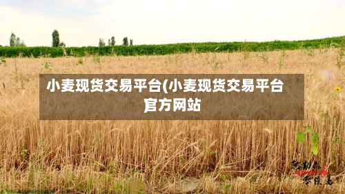 小麦现货交易平台(小麦现货交易平台官方网站)