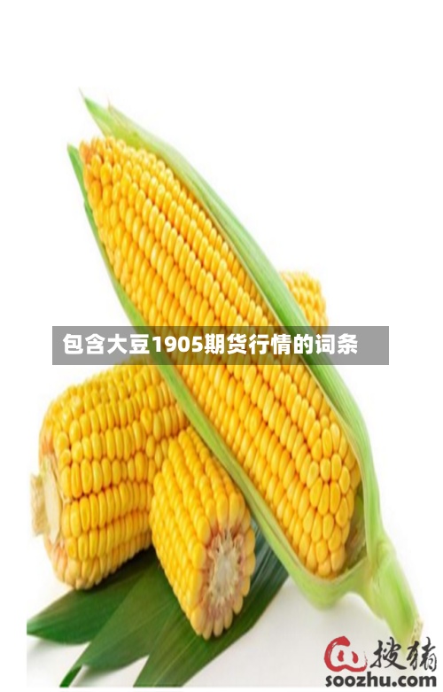 包含大豆1905期货行情的词条-第2张图片