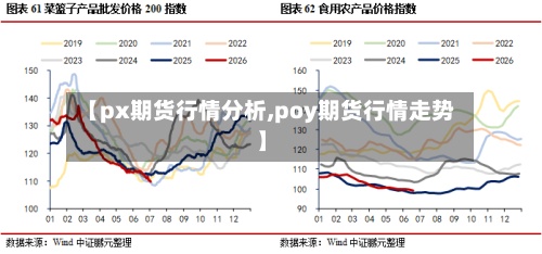 【px期货行情分析,poy期货行情走势】-第2张图片