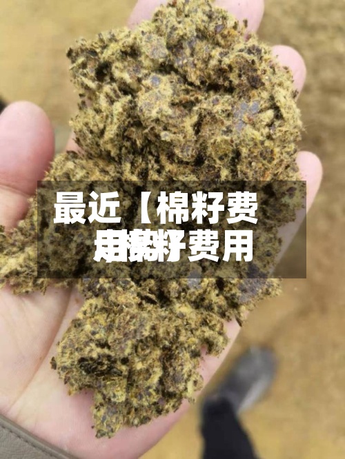最近【棉籽费用.,棉籽费用走势】