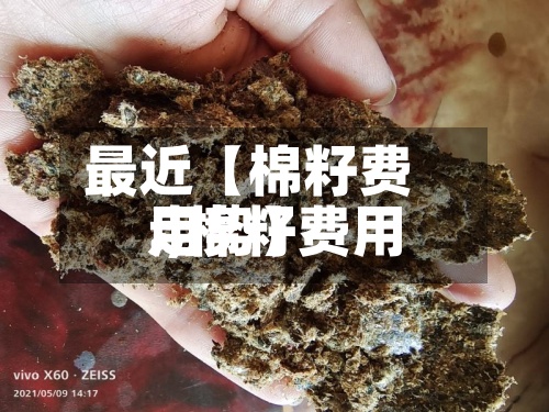 最近【棉籽费用
.,棉籽费用
走势】-第2张图片