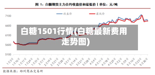 白糖1501行情(白糖最新费用
走势图)