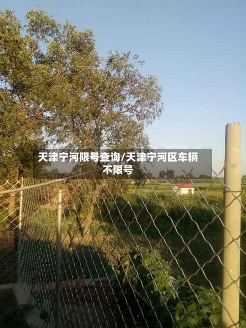 天津宁河限号查询/天津宁河区车辆不限号