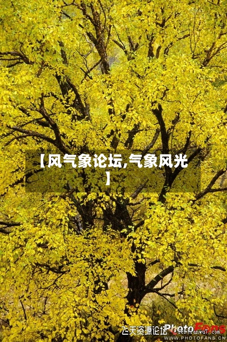 【风气象论坛,气象风光】-第3张图片