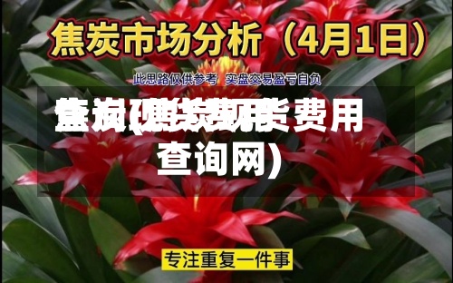 焦炭现货费用
查询(焦炭现货费用
查询网)-第2张图片