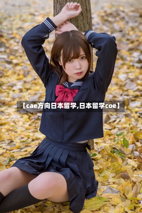 【cae方向日本留学,日本留学coe】-第3张图片
