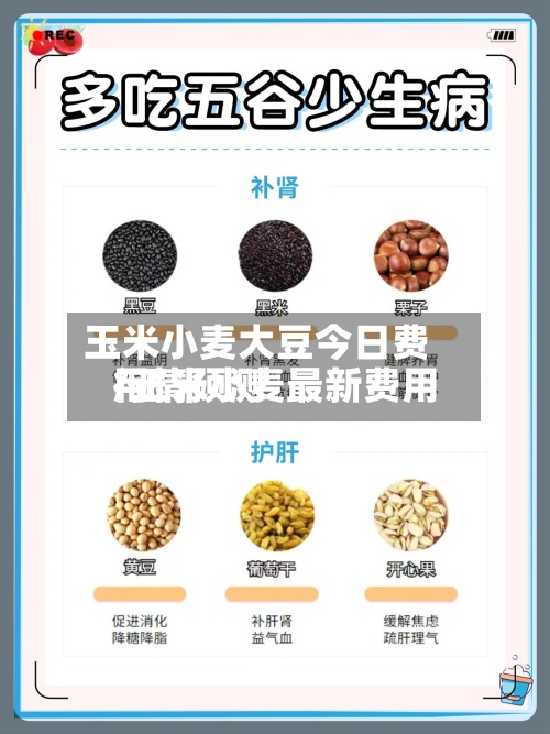玉米小麦大豆今日费用
/玉米小麦最新费用
行情预测-第2张图片