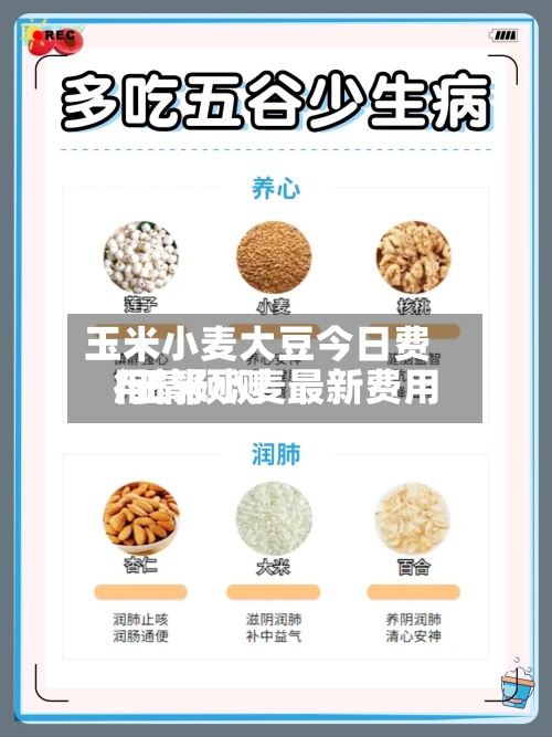 玉米小麦大豆今日费用
/玉米小麦最新费用
行情预测