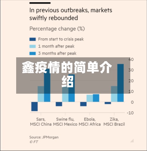 鑫疫情的简单介绍