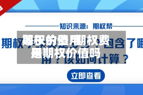 期权的费用
等于价值/期权费用
是期权价值吗