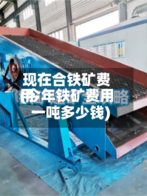 现在合铁矿费用
(今年铁矿费用
一吨多少钱)-第3张图片