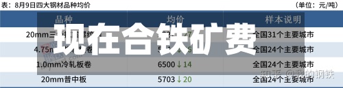现在合铁矿费用
(今年铁矿费用
一吨多少钱)