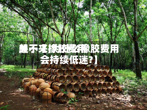 关于【橡胶费用
起不来,为什么橡胶费用
会持续低迷?】