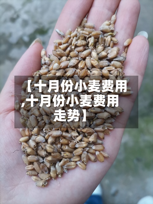 【十月份小麦费用
,十月份小麦费用
走势】-第3张图片