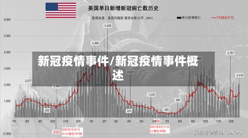 新冠疫情事件/新冠疫情事件概述