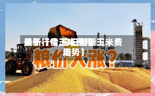 关于【今玉米费用
最新行情,今日最新玉米费用
走势】-第2张图片