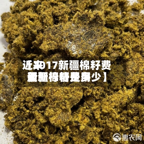 近来
【2017新疆棉籽费用
新疆棉籽费用
最新行情是多少】-第2张图片