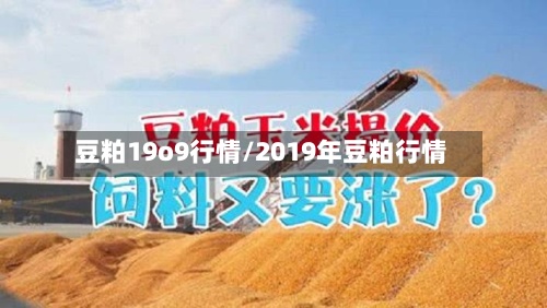 豆粕19o9行情/2019年豆粕行情