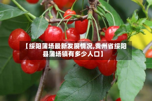 【绥阳蒲场最新发展情况,贵州省绥阳县蒲场镇有多少人口】-第2张图片