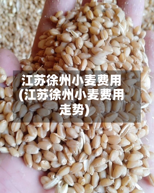 江苏徐州小麦费用(江苏徐州小麦费用走势)