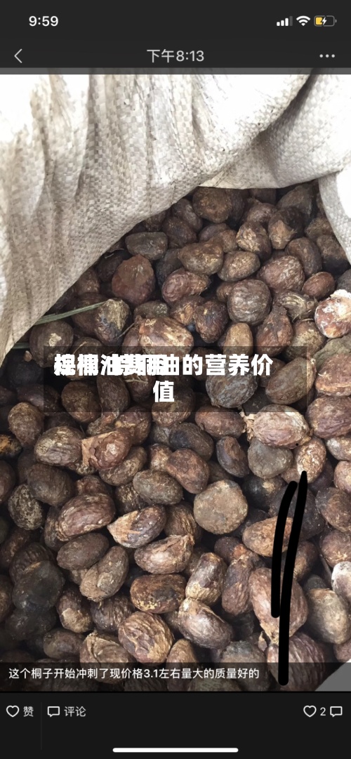 棕桐油费用规律/棕桐油的营养价值