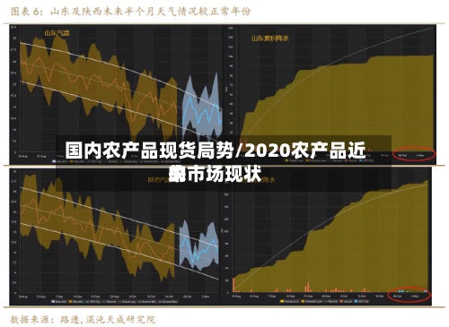 国内农产品现货局势/2020农产品近来的市场现状
