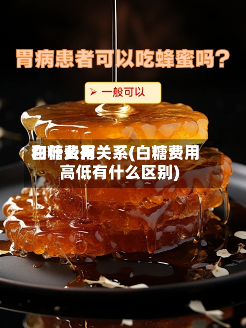 白糖费用和什么有关系(白糖费用高低有什么区别)-第2张图片