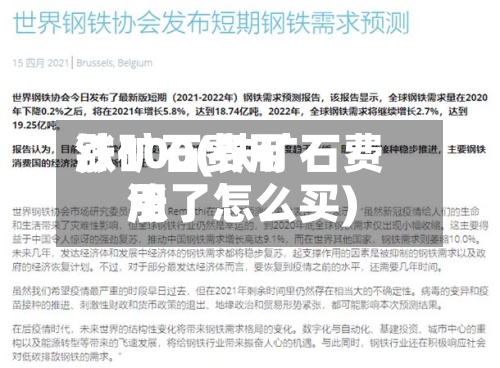 铁矿石费用涨100(铁矿石费用涨了怎么买)