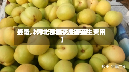 最近【河北滦县花生费用行情,2021河北滦州新花生费用】-第2张图片