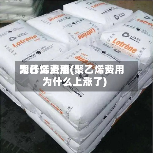 聚乙烯费用
为什么上涨(聚乙烯费用
为什么上涨了)-第3张图片