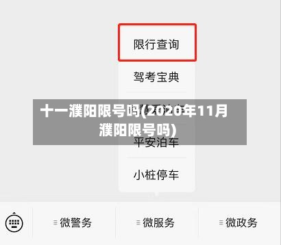十一濮阳限号吗(2020年11月濮阳限号吗)