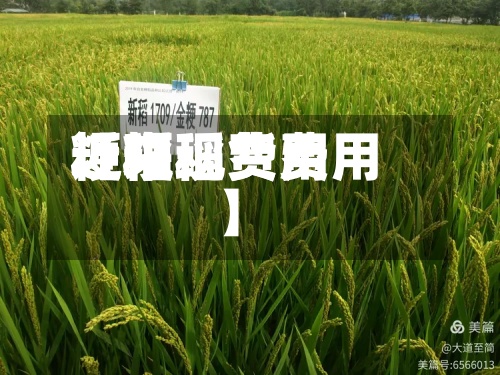 近来
【粳稻费用
粳稻现货费用
】-第3张图片