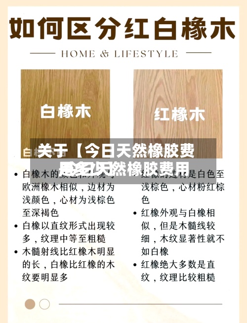 关于【今日天然橡胶费用,今日天然橡胶费用是多少】-第3张图片