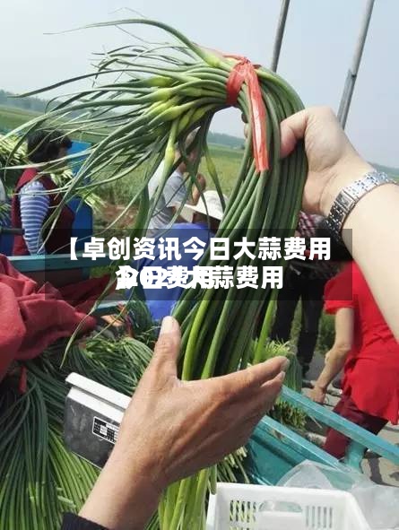 【卓创资讯今日大蒜费用
,2021大蒜费用
今日费用
】