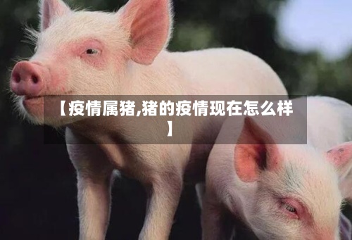 【疫情属猪,猪的疫情现在怎么样】-第3张图片