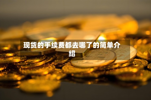 现货的手续费都去哪了的简单介绍