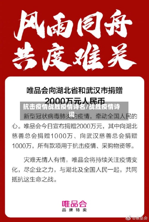 抗击疫情战胜疫情诗名/战胜疫情诗词-第3张图片