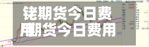 铑期货今日费用/期货今日费用查询