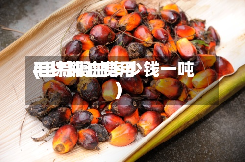 毛棕榈油费用
(毛棕榈油多少钱一吨)-第2张图片