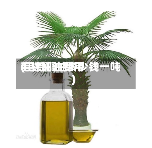 毛棕榈油费用
(毛棕榈油多少钱一吨)-第3张图片