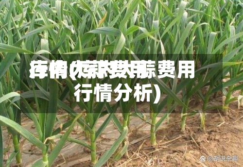 库内大蒜费用
行情(库内大蒜费用
行情分析)