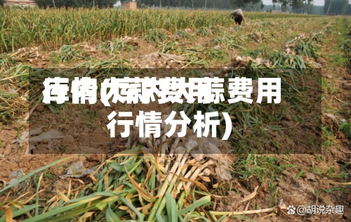 库内大蒜费用
行情(库内大蒜费用
行情分析)-第3张图片