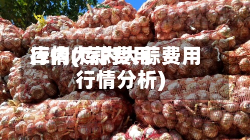 库内大蒜费用
行情(库内大蒜费用
行情分析)-第2张图片