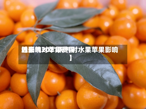 近来
【天气对苹果费用
的影响2021天气对水果苹果影响】