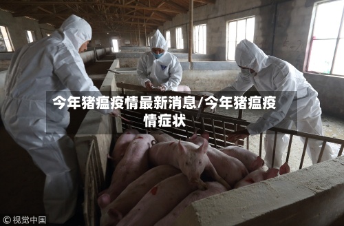今年猪瘟疫情最新消息/今年猪瘟疫情症状