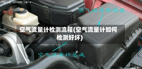 空气流量计检测流程(空气流量计如何检测好坏)-第2张图片