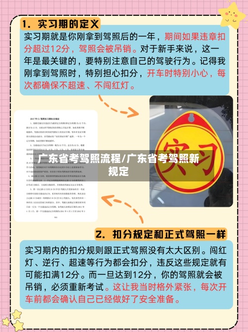 广东省考驾照流程/广东省考驾照新规定-第2张图片