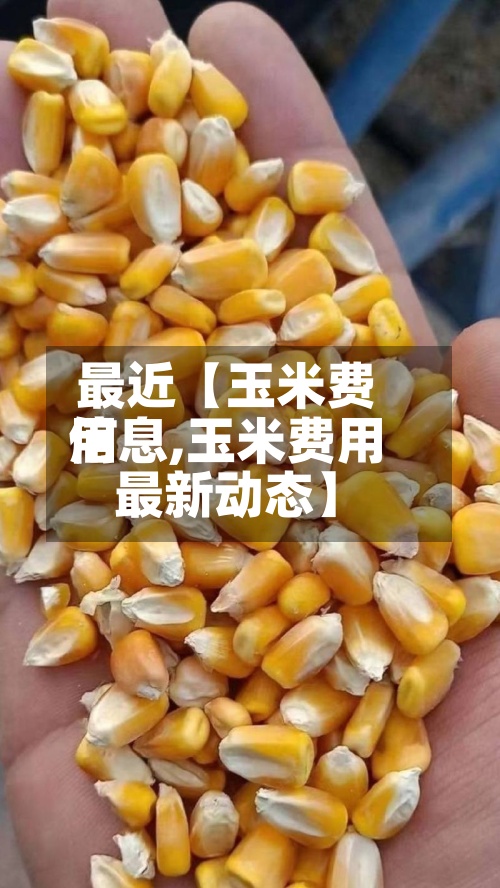 最近【玉米费用信息,玉米费用最新动态】-第2张图片